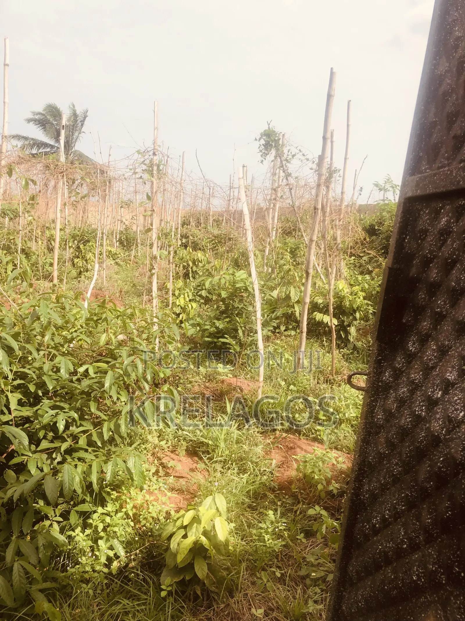 100ft by 100ft. Fenced With Gate. Okpanam. #35m in Oshimili North