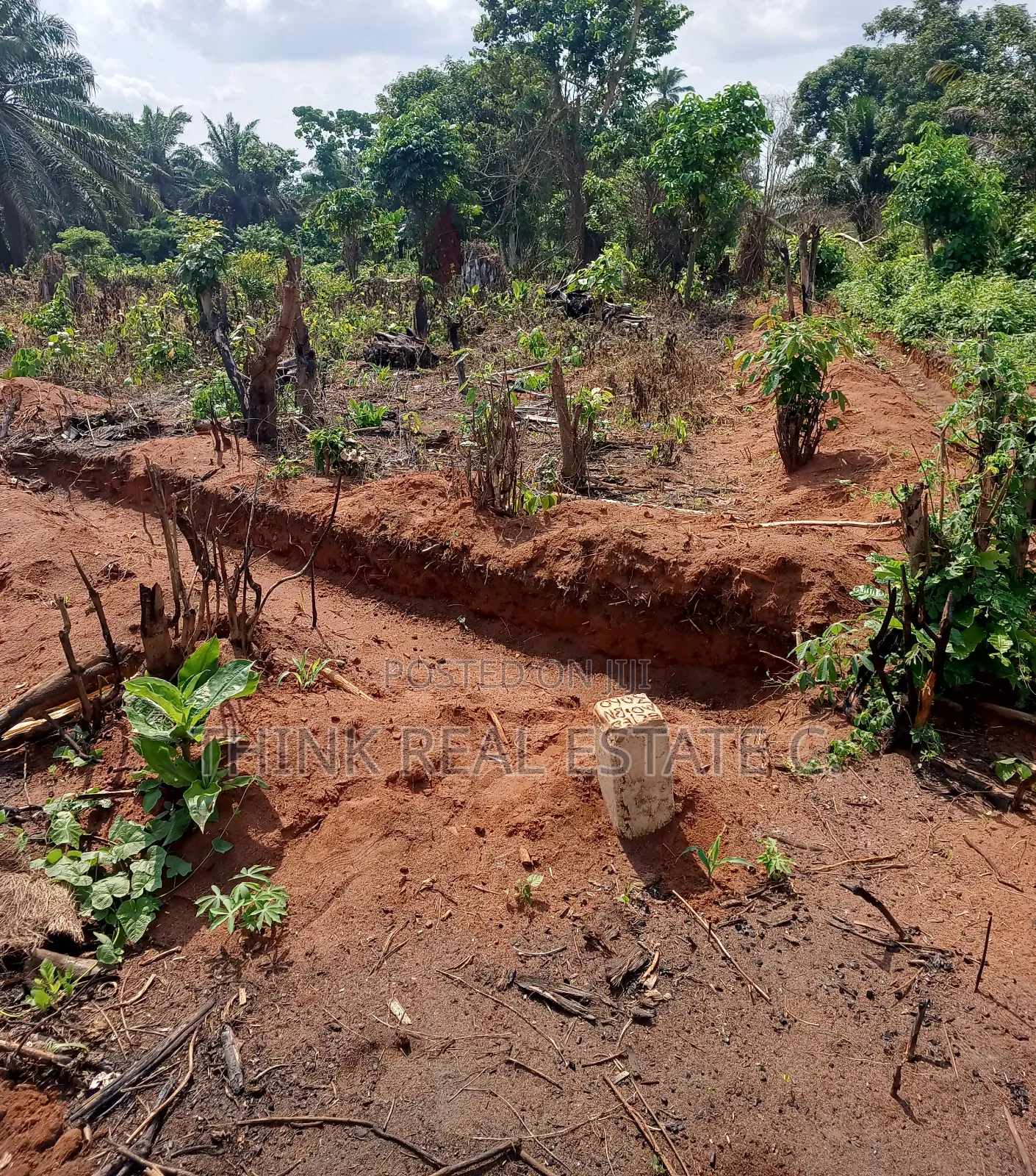 50/100 Land at Ekowe,Ekiadolor,Benin City for Net Price in Benin City