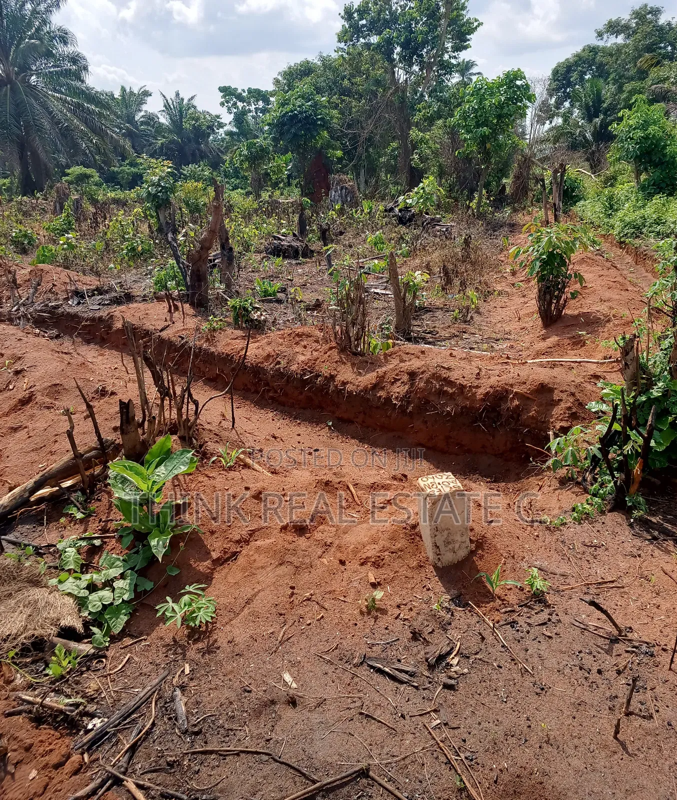 50/100 Land at Ekowe,Ekiadolor,Benin City for Net Price in Benin City