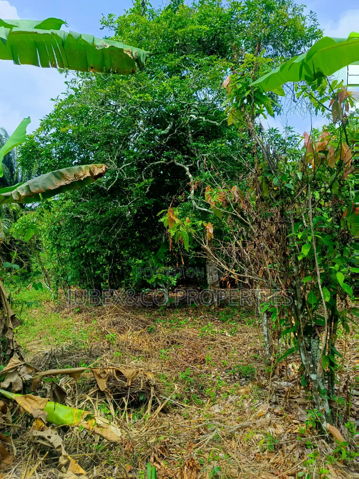 4 Acres Farm Land at Elelubo Abeokuta in Abeokuta South