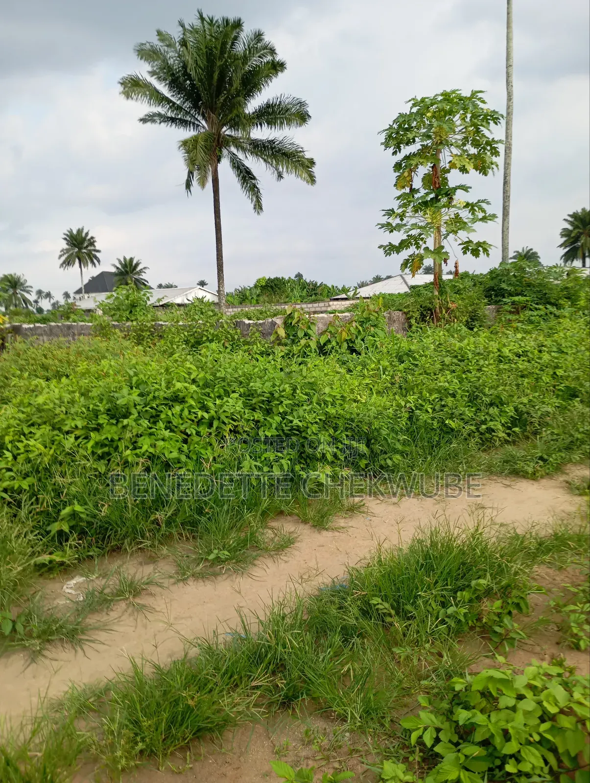 For Sale: Half Plot of Land in Port-Harcourt