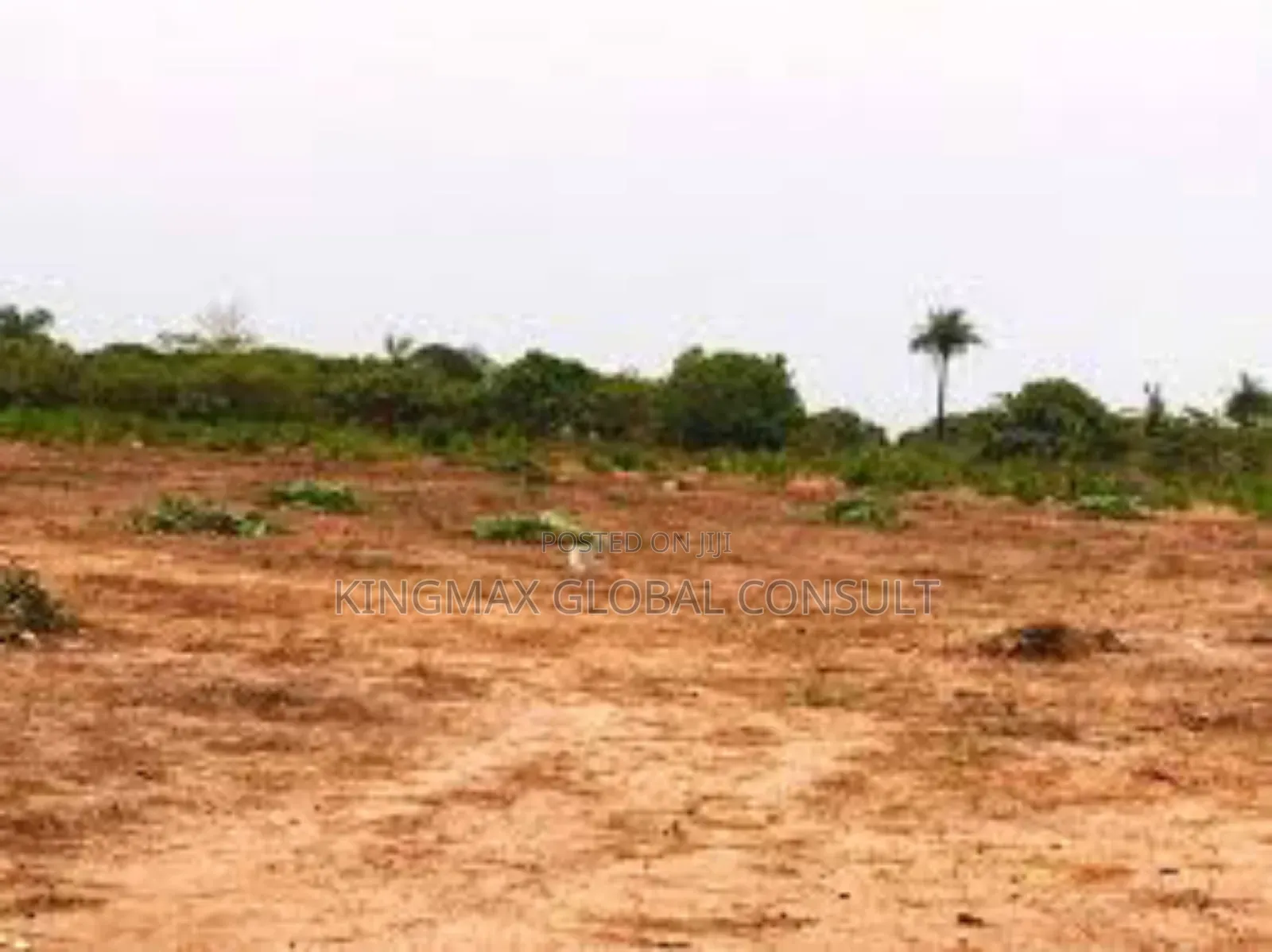 Land For Sale - Size: 1,700sqm in Akwanga