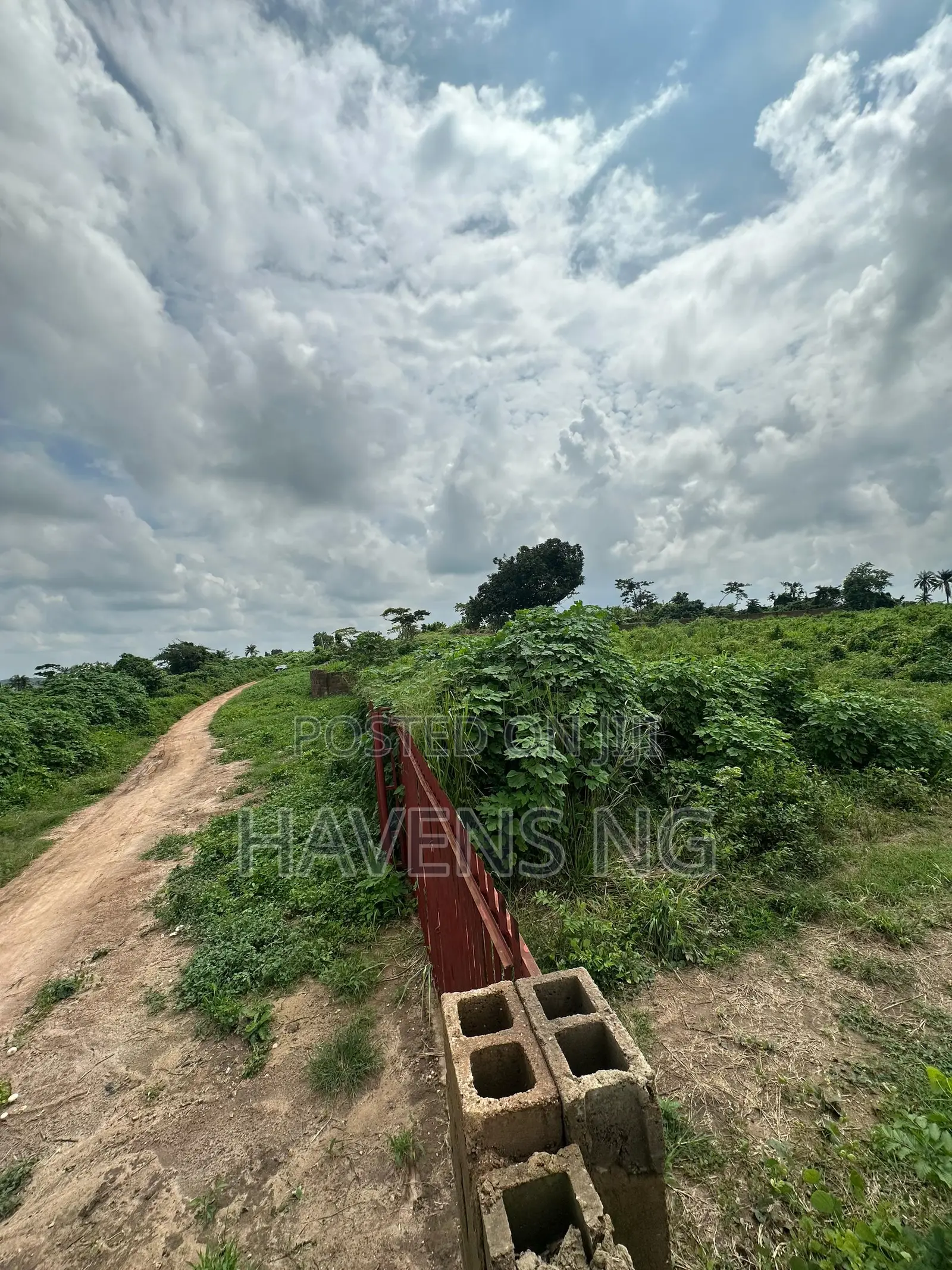 6 Acres of Well-Fenced Land for Sale in Moniya
