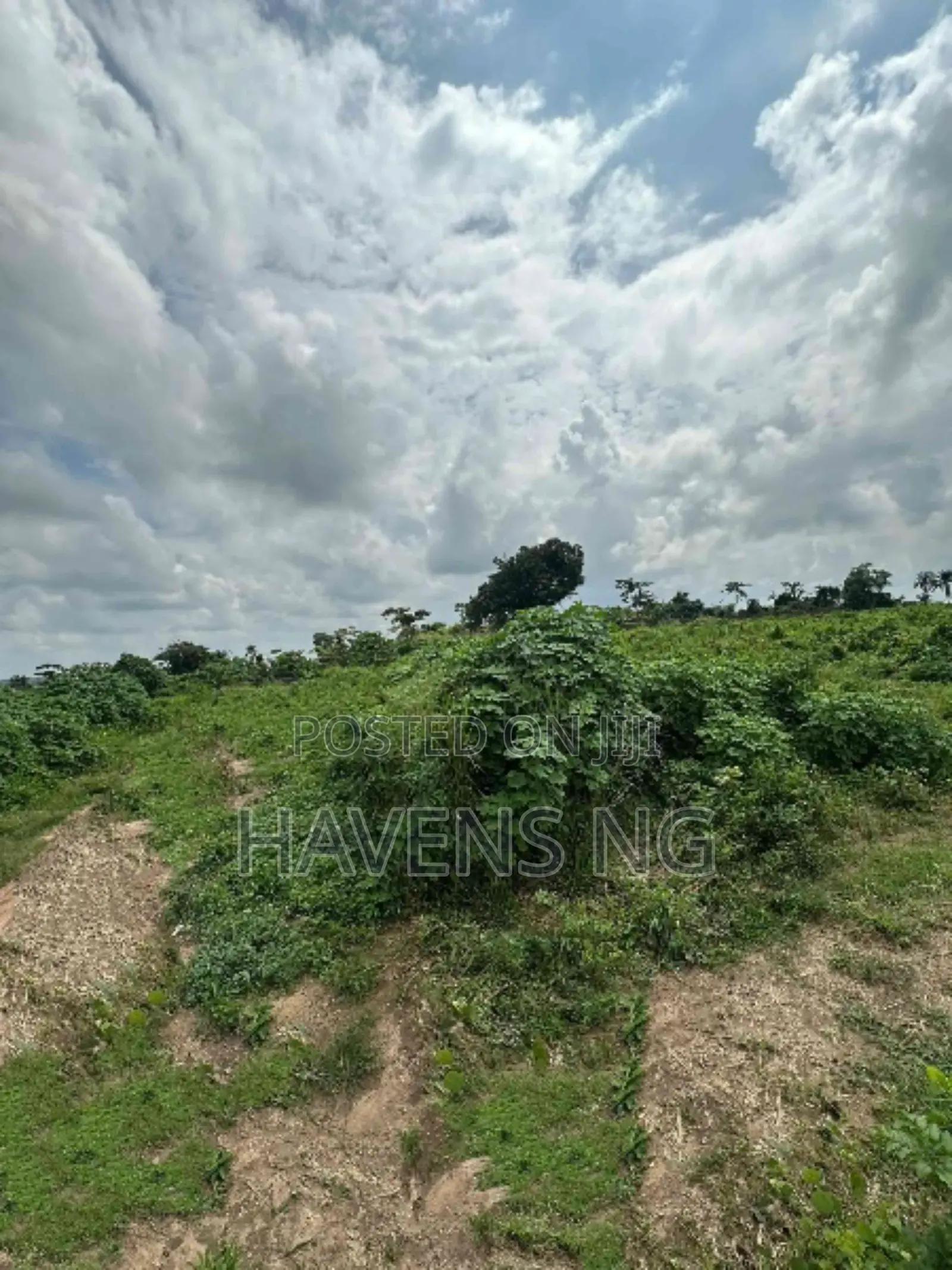 6 Acres of Well-Fenced Land for Sale in Moniya