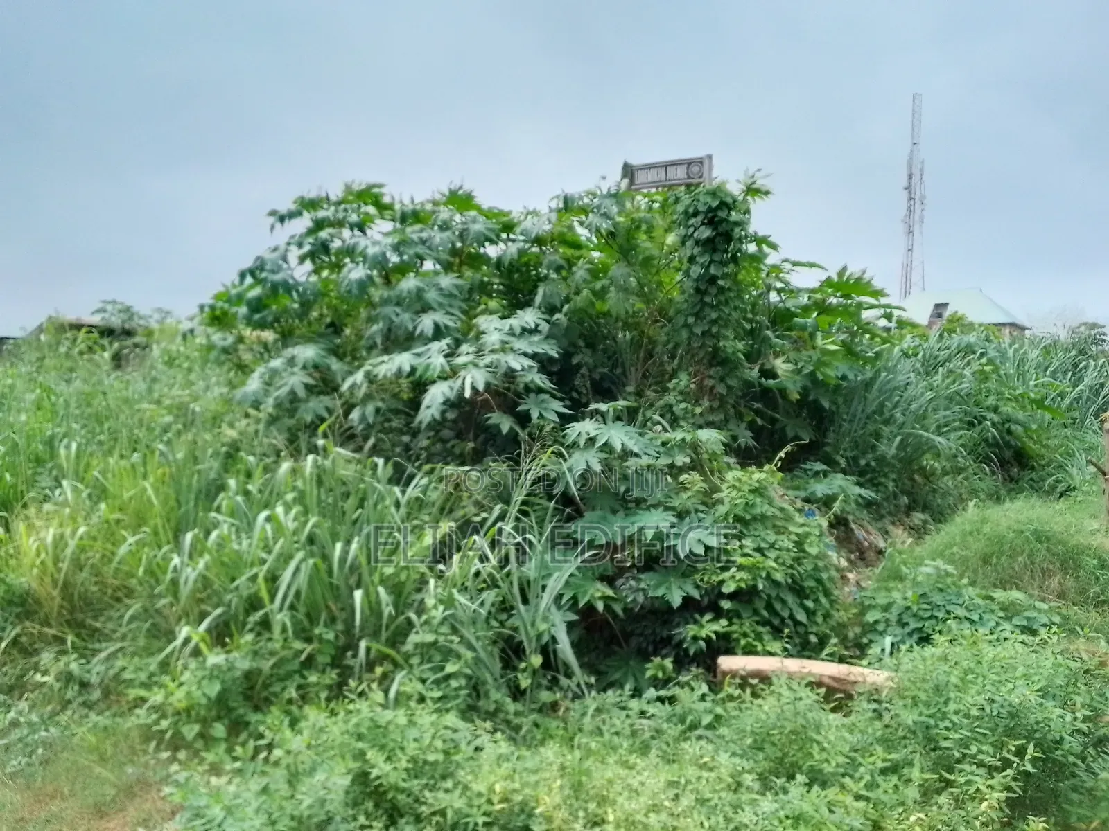 1 Full Table Plot of Land at Mowonla, Ikorodu Lagos in Ikorodu Garage