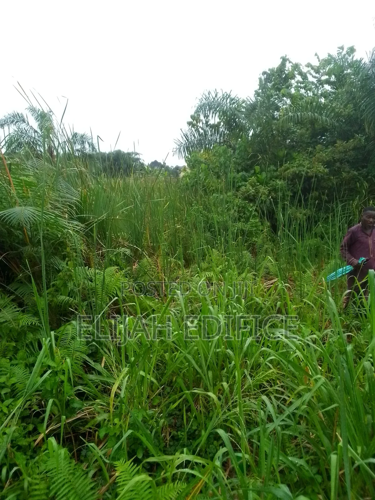 Half Plot at Parkview Estate, Ikorodu Lagos in Ijede / Ikorodu