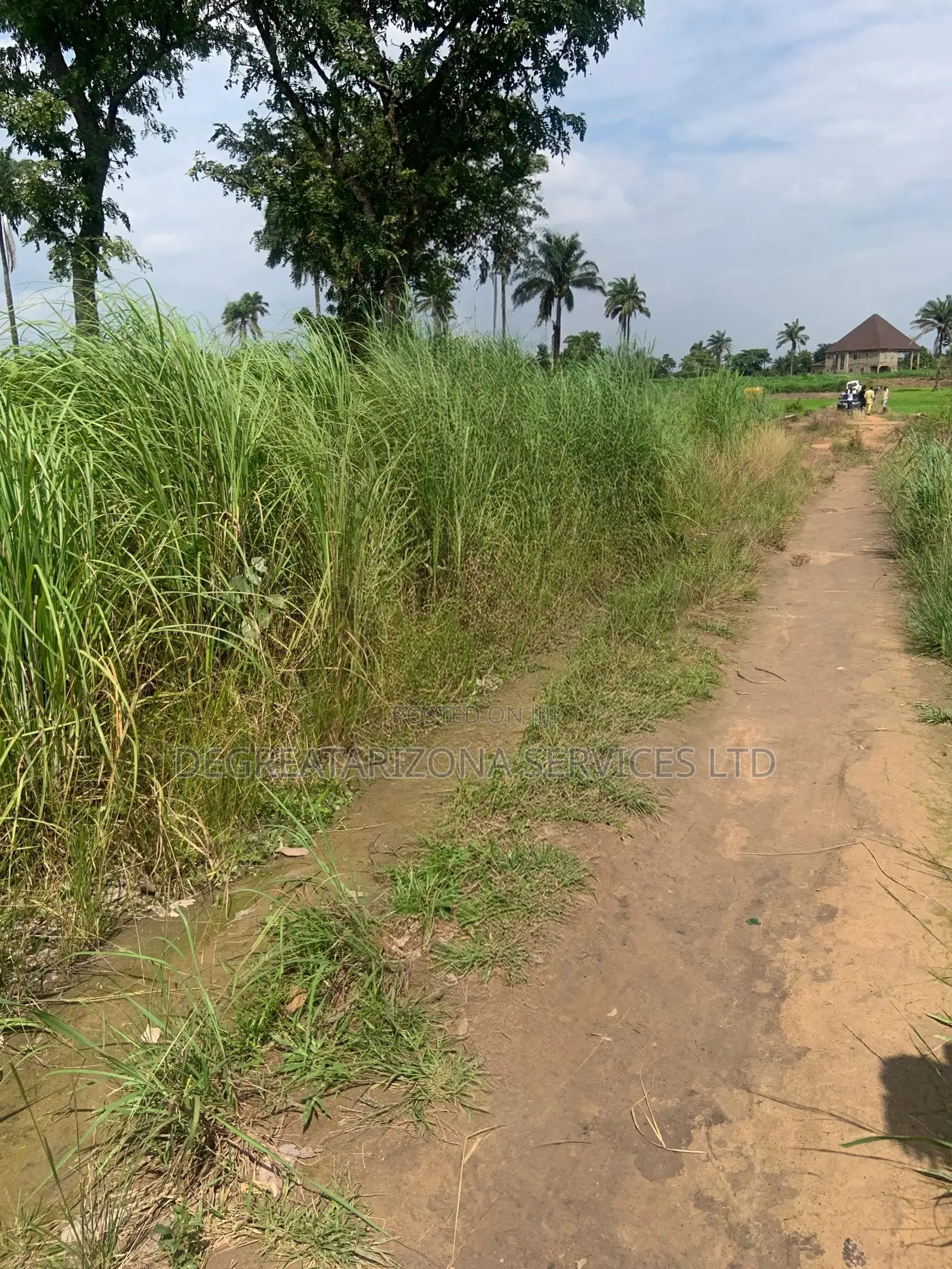 Triveland Garden Layout, Lands Located at Awba Ofemili in Awka