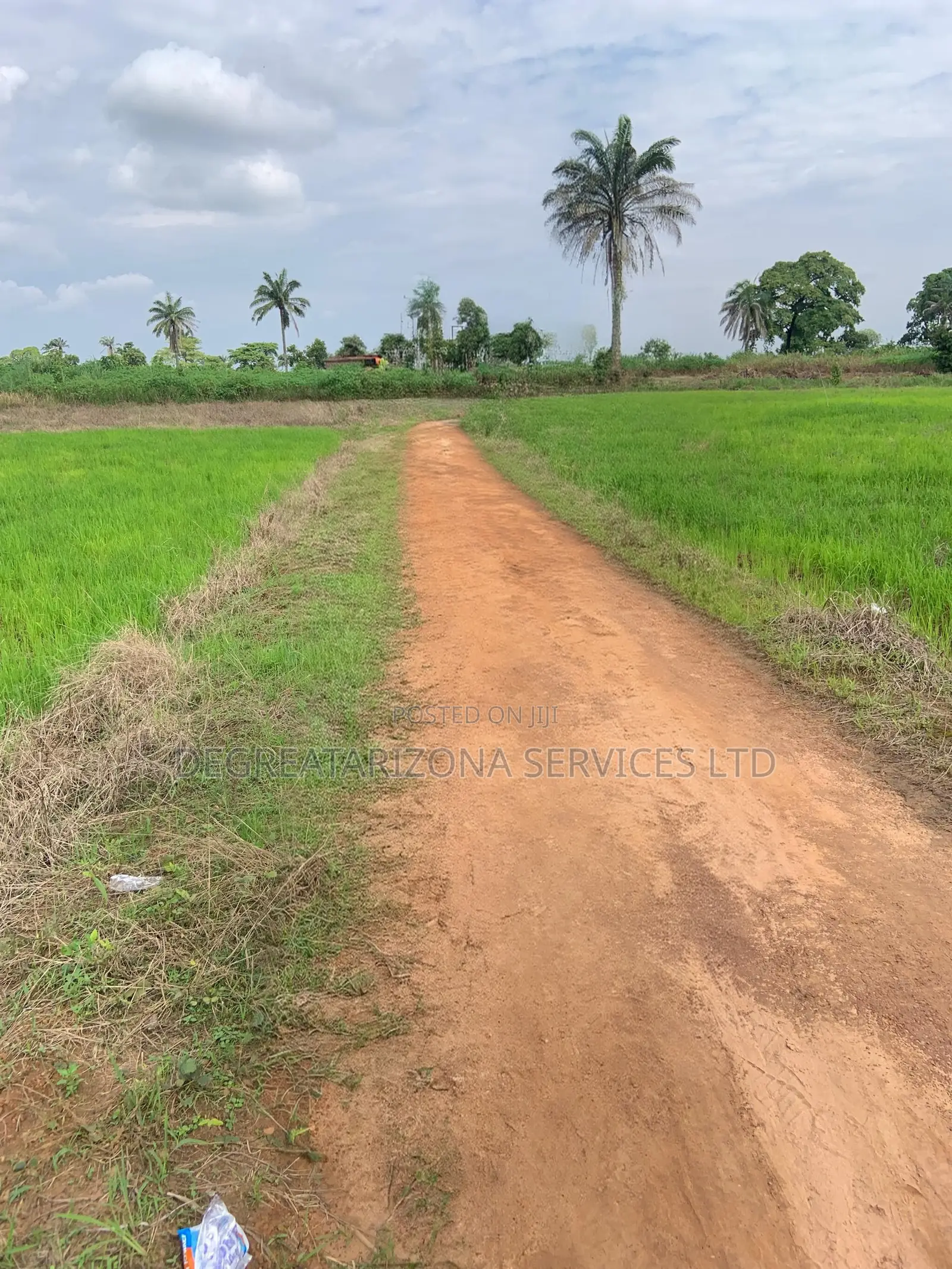 Triveland Garden Layout, Lands Located at Awba Ofemili in Awka