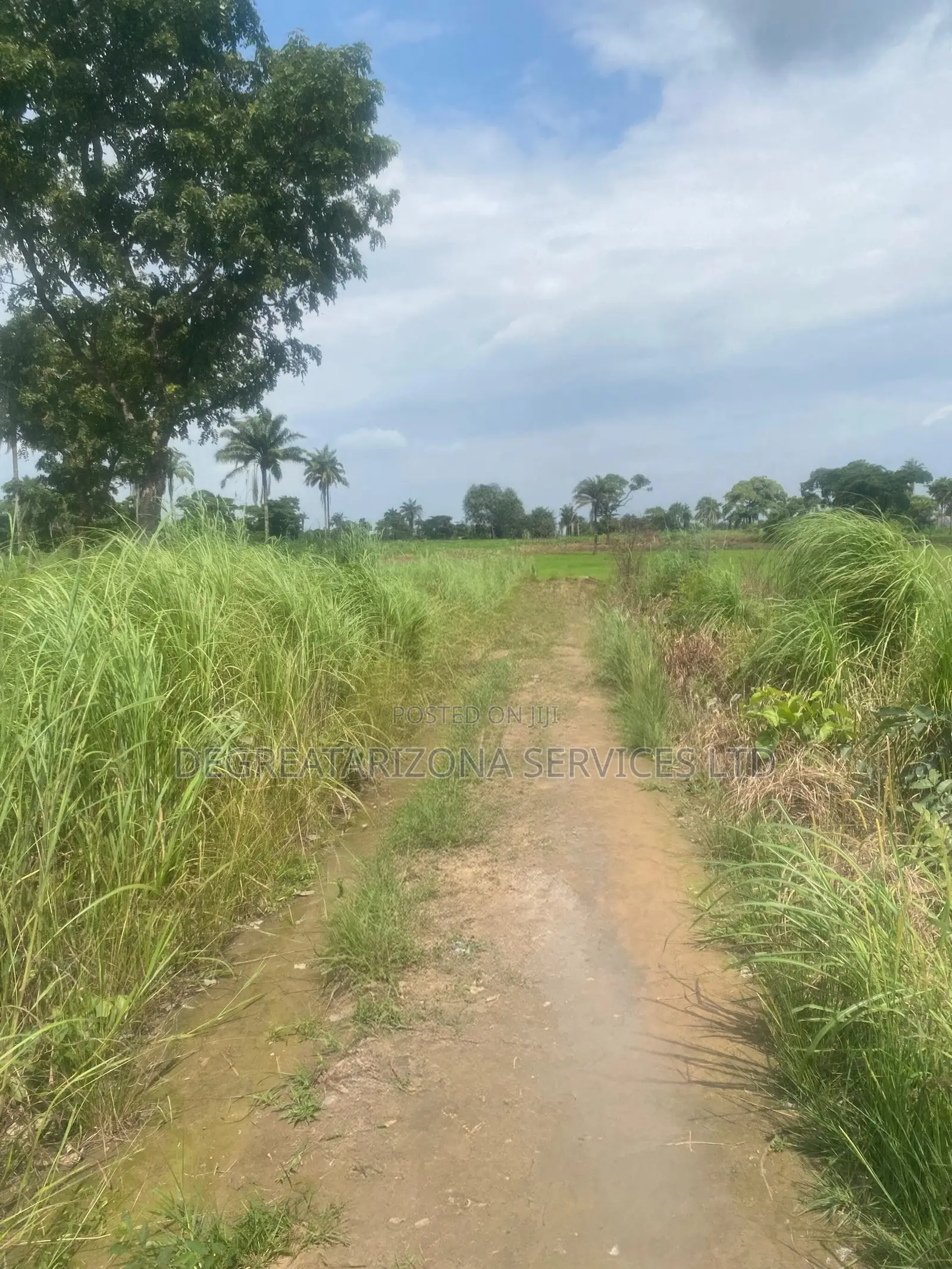 Triveland Garden Layout, Lands Located at Awba Ofemili in Awka