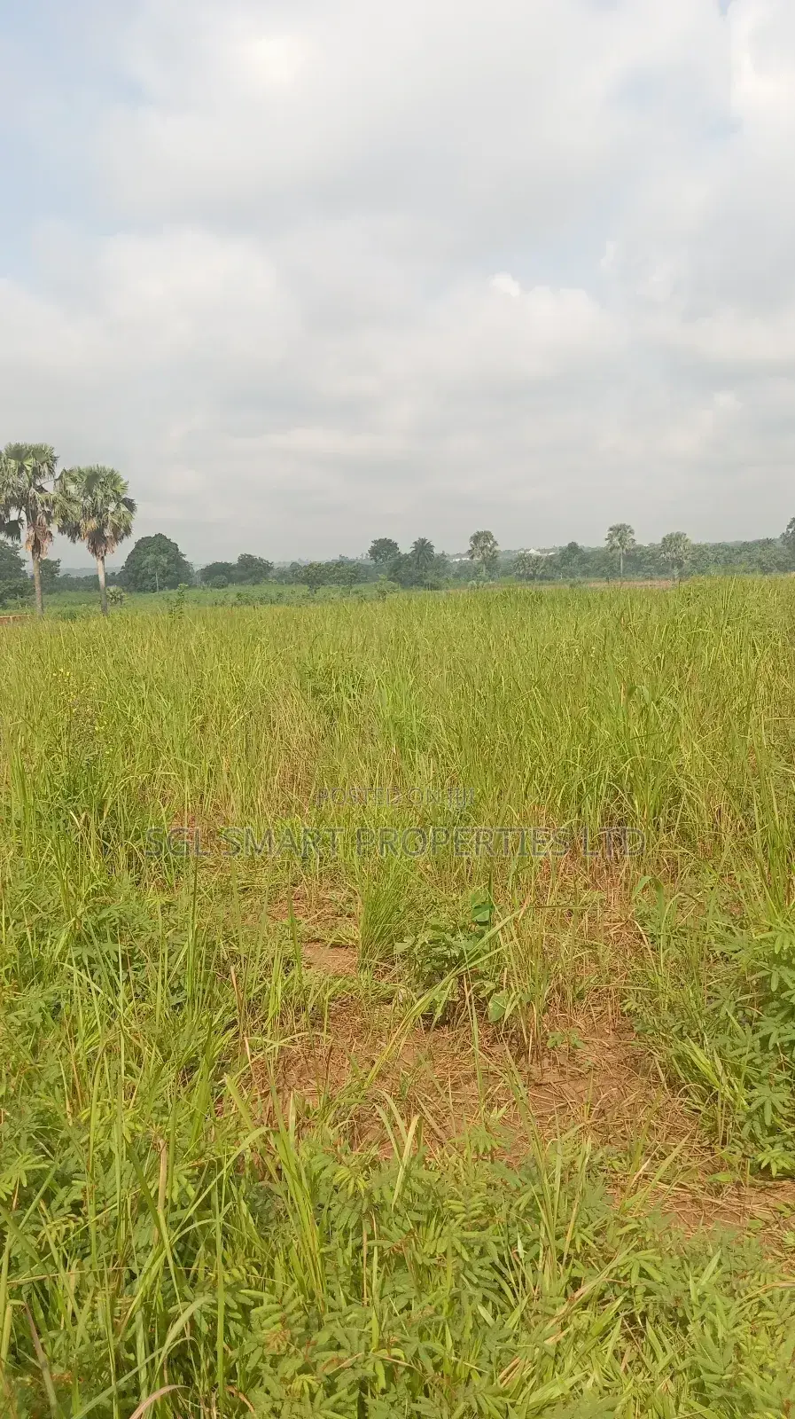 About 12 Plots of Land for Sale at Isu in Awka