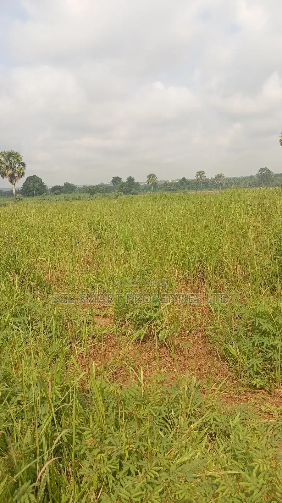 About 12 Plots of Land for Sale at Isu in Awka