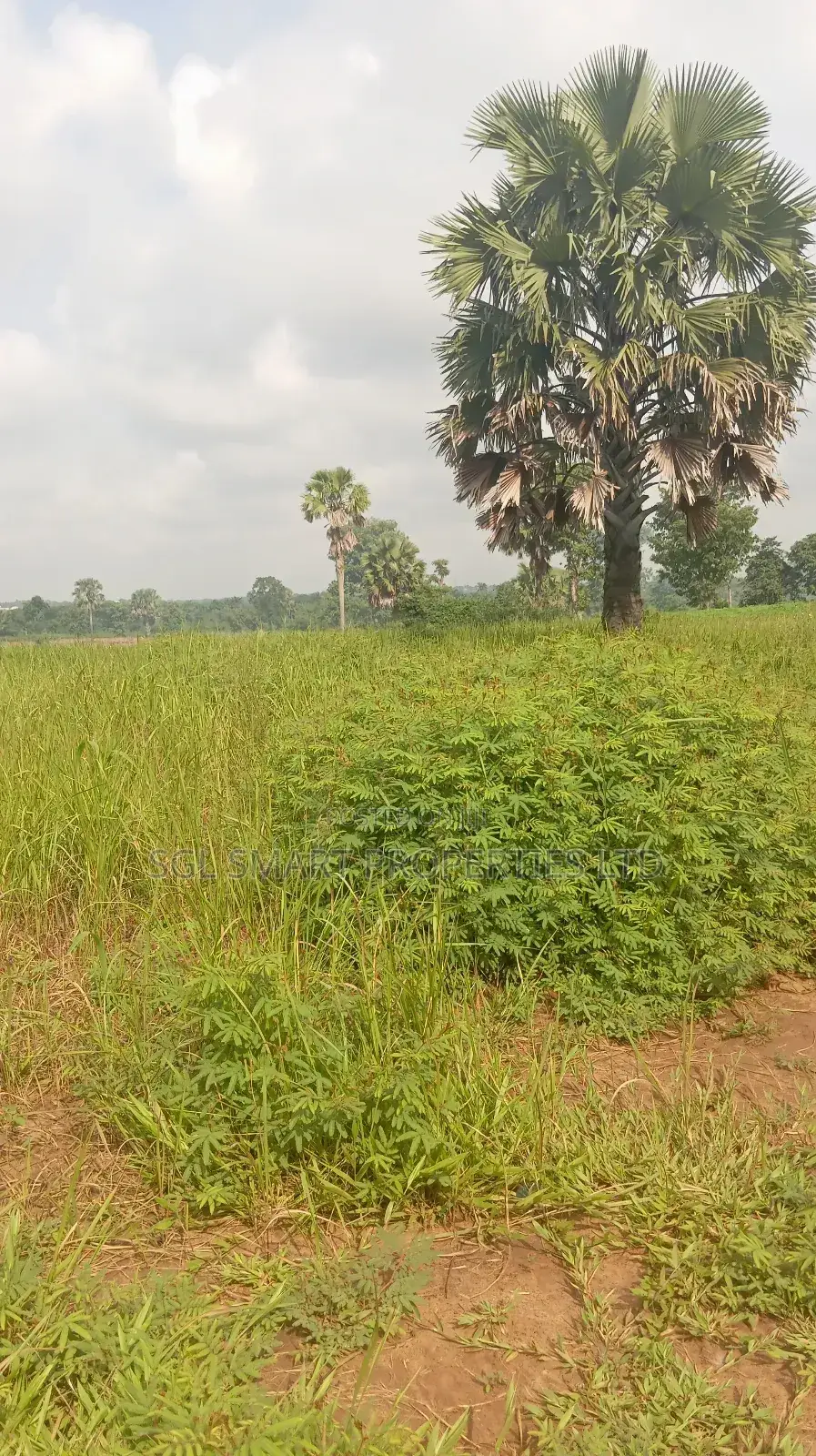 About 12 Plots of Land for Sale at Isu in Awka