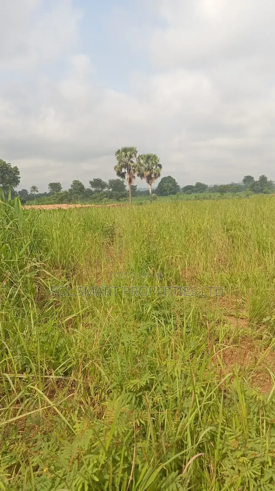 About 12 Plots of Land for Sale at Isu in Awka