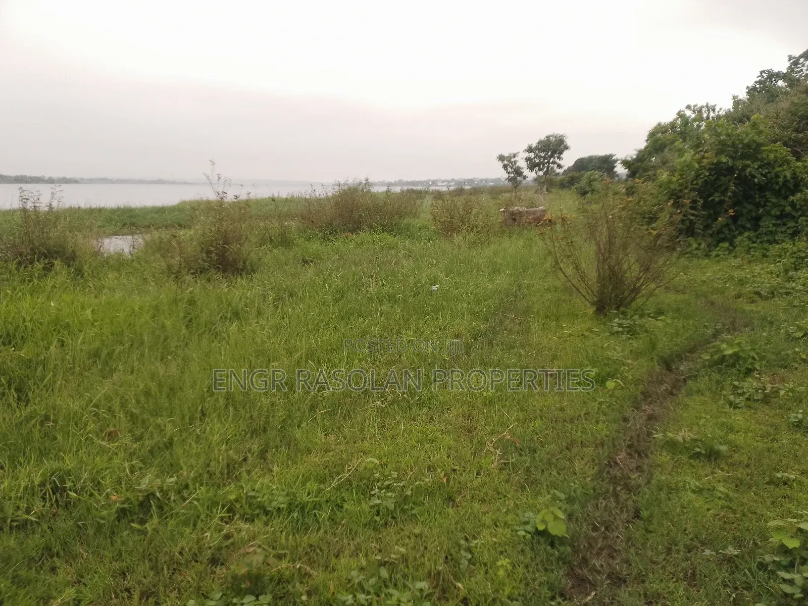 For Sale Swampy Land Beside River in Asa