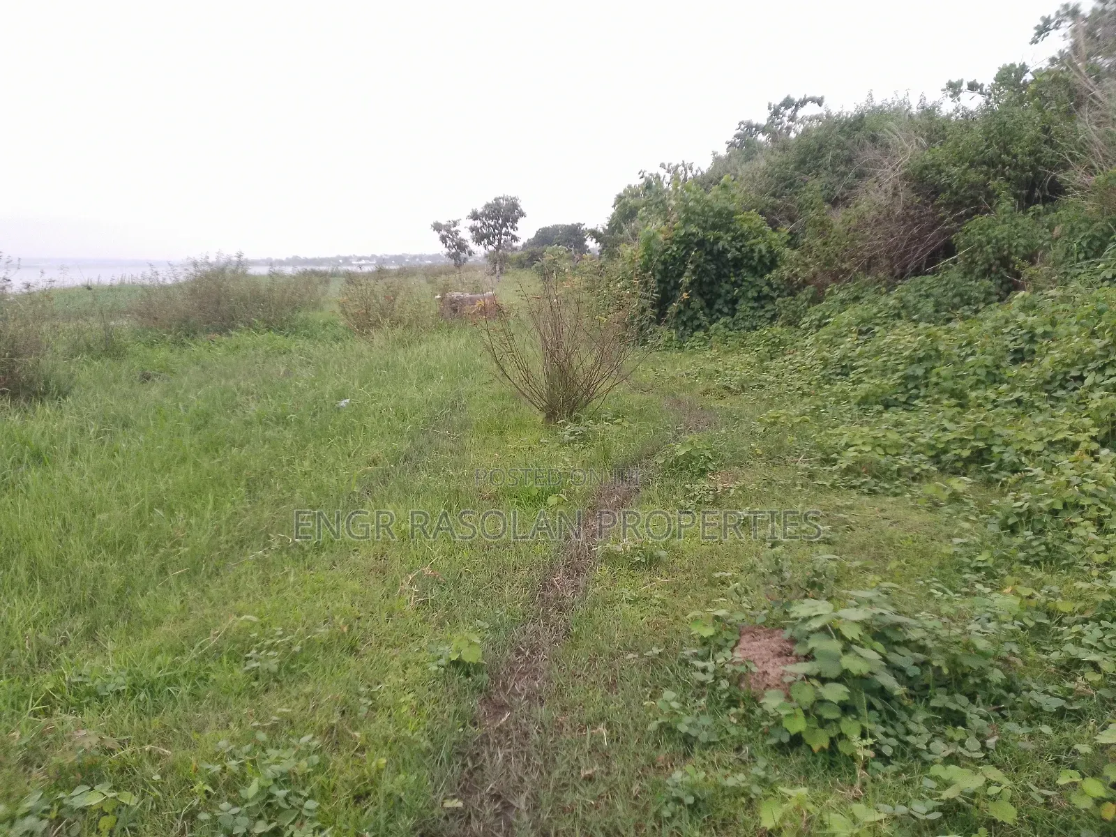 For Sale Swampy Land Beside River in Asa