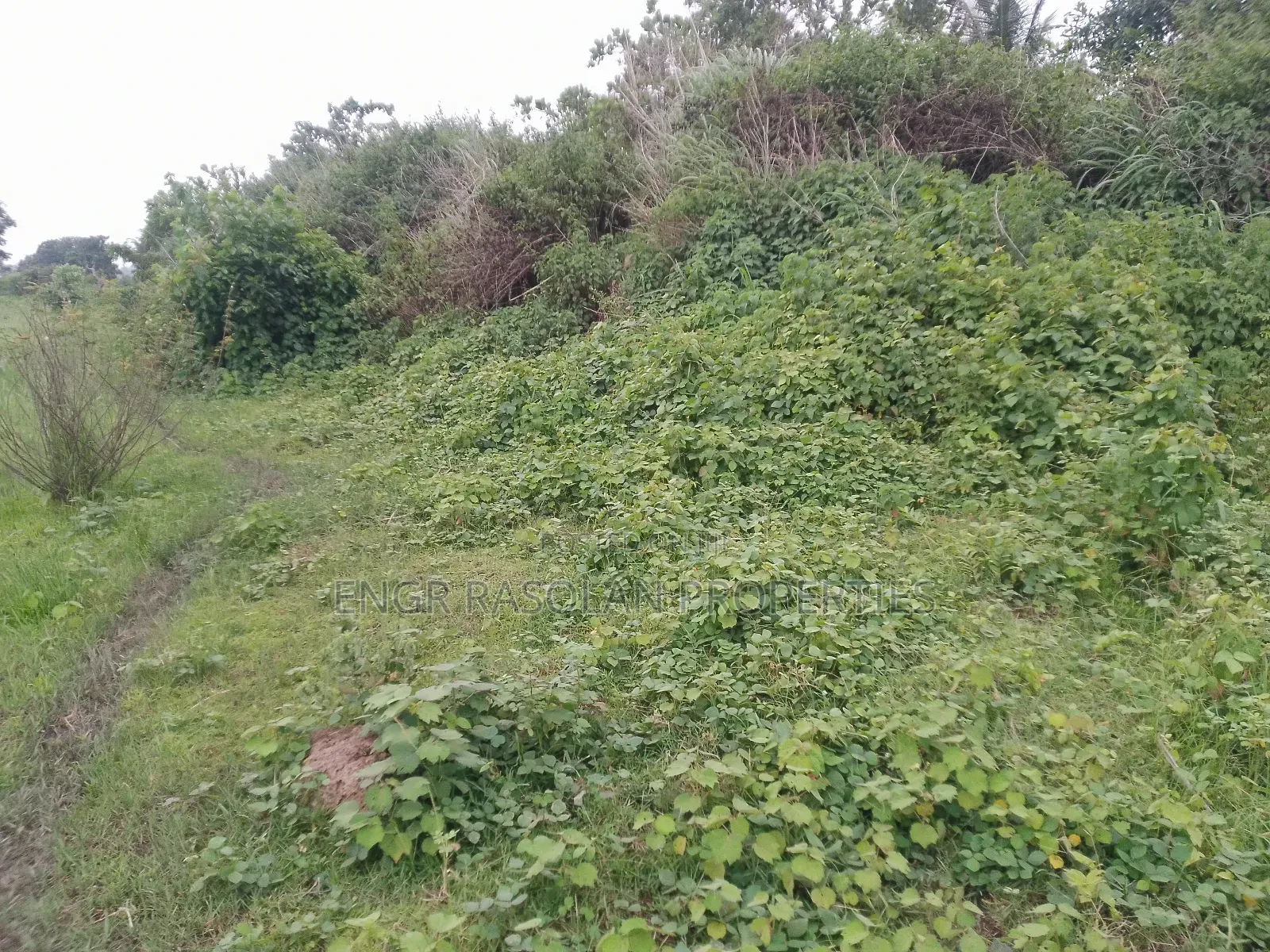 For Sale Swampy Land Beside River in Asa