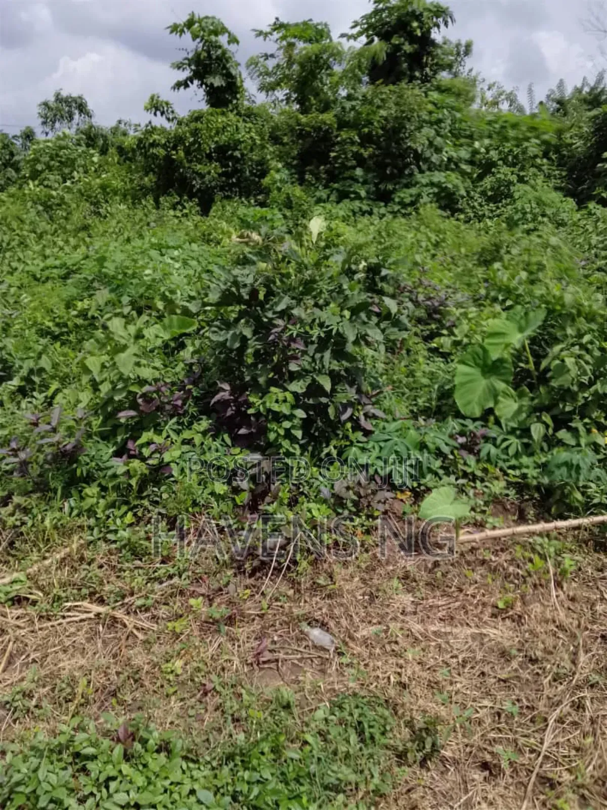 2 Plots of Land Akobo/Olorunda Abaa in Lagelu