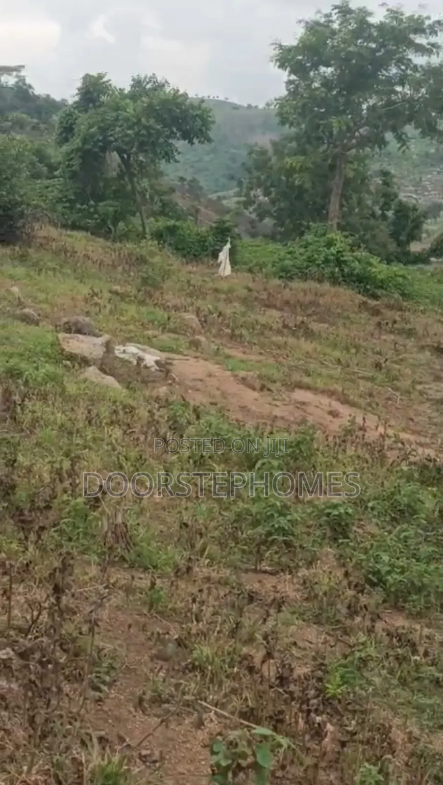1315.13m2 Residential Land in Asokoro District for Sale in Lugbe District