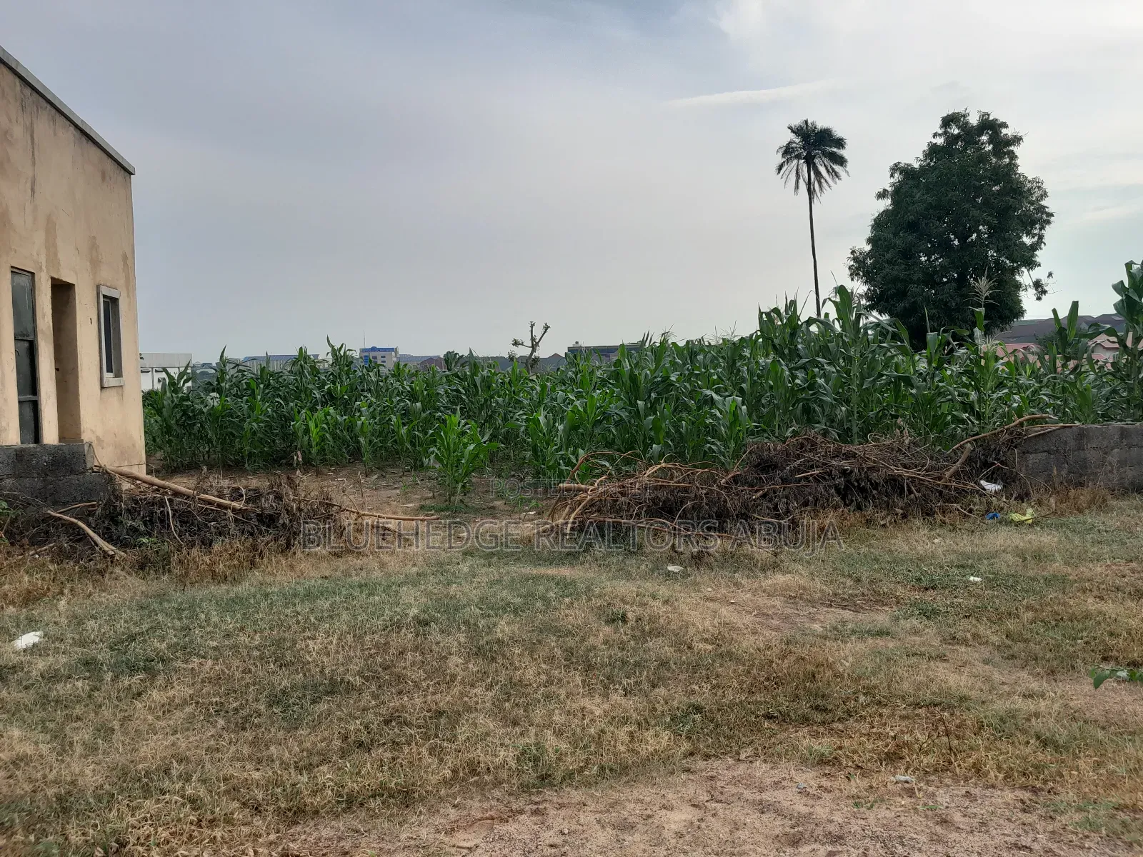 Dry and Expanse School Land Measuring 1.75 Hectares in Kaura