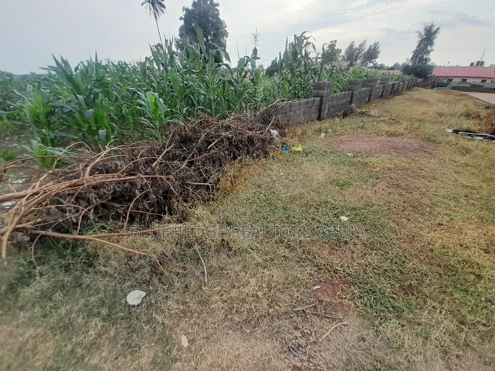 Dry and Expanse School Land Measuring 1.75 Hectares in Kaura