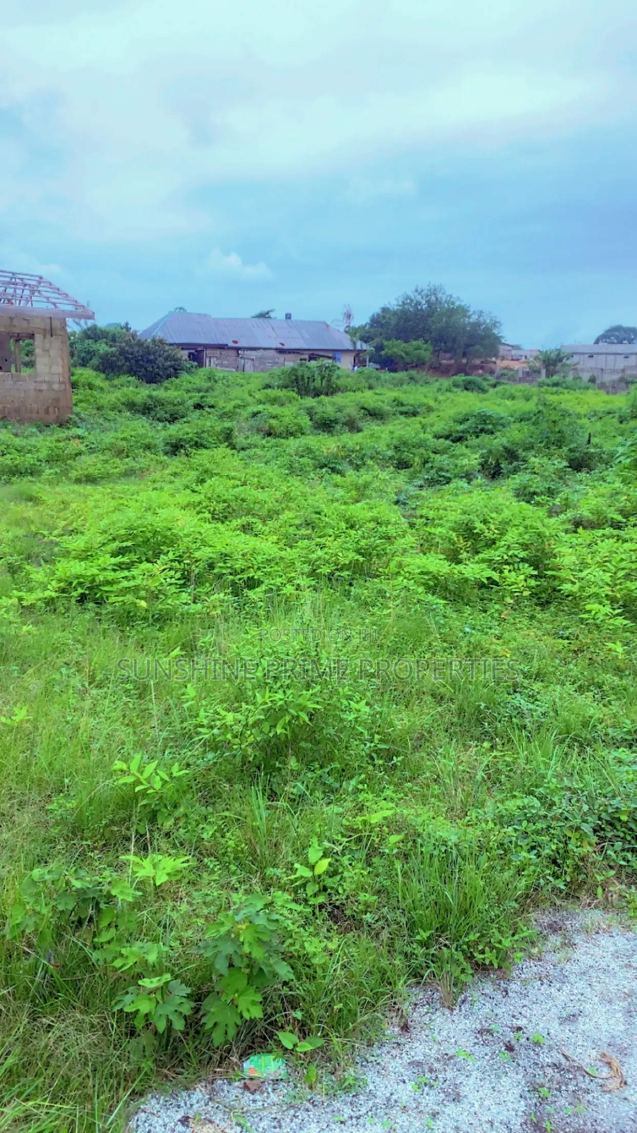 For Sae 10 Plots of Land Together at Ore Ondo State in Odigbo