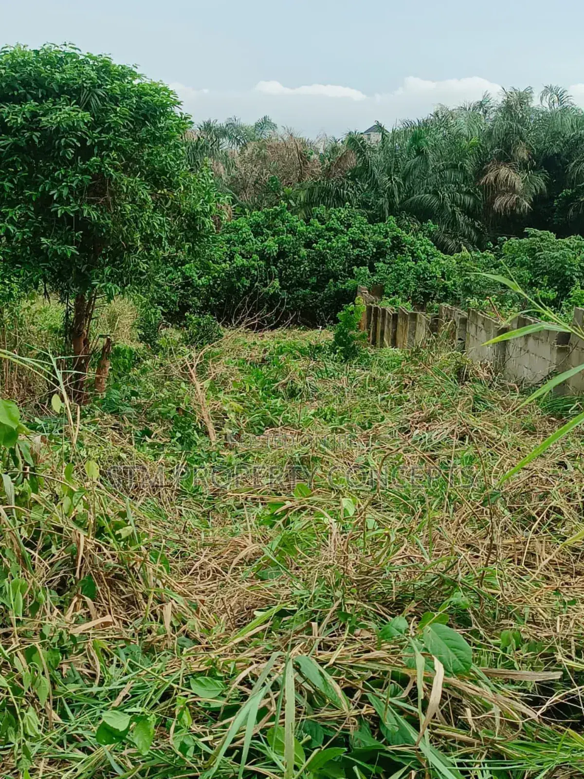Half Plot of Land for Sale at Isefun Ayobo Lagos Scheme in Alimosho