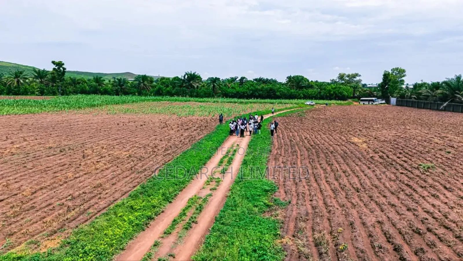 Agricultural Farmland | Affordable Lands for Sale in Abuja in Kuje