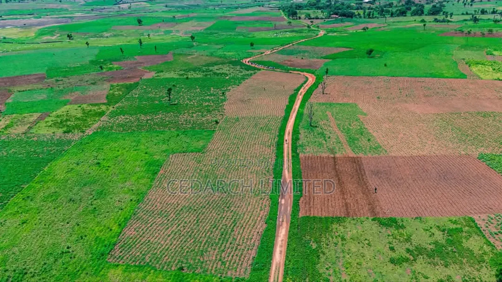Agricultural Farmland | Affordable Lands for Sale in Abuja in Kuje