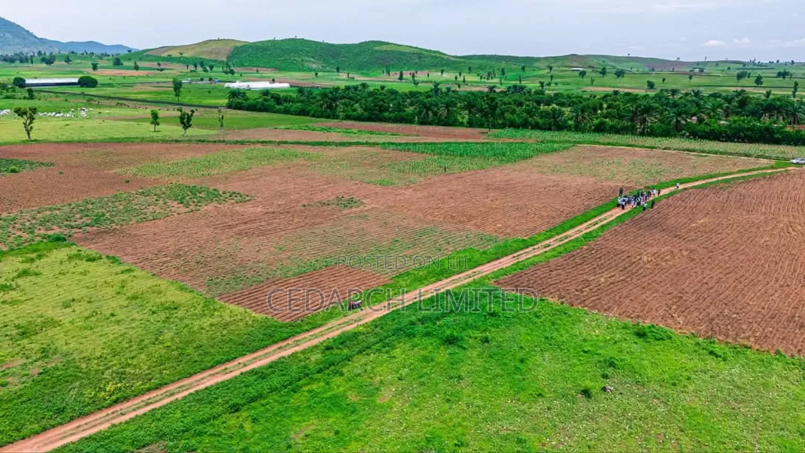 Agricultural Farmland | Affordable Lands for Sale in Abuja in Kuje