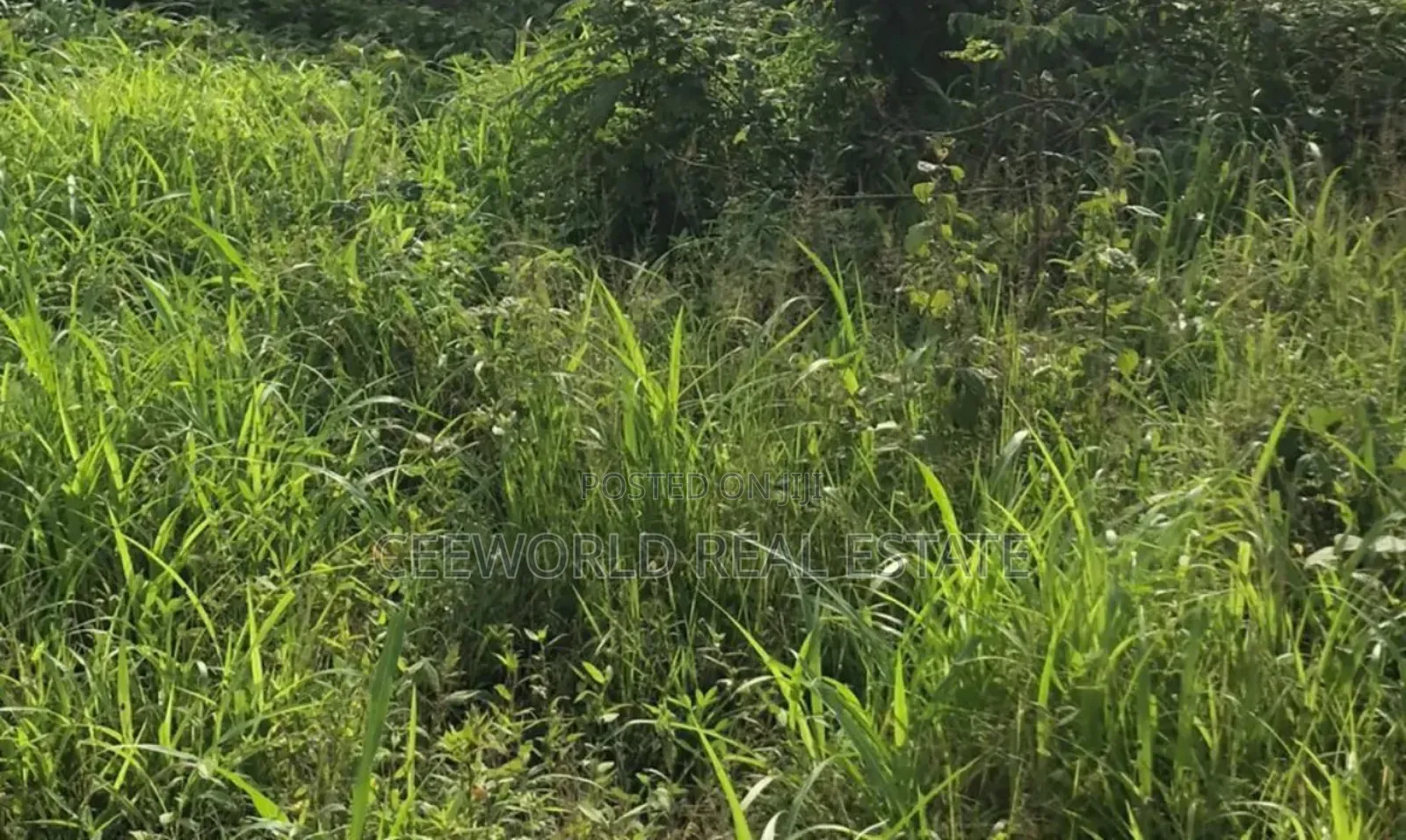 A Standard Plot of Land Corner Piece at Kasumu Estate Zone D in Akala Express