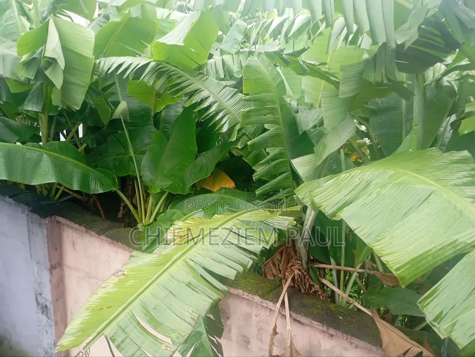 Empty 2 Plots of Land for Sale in Port-Harcourt