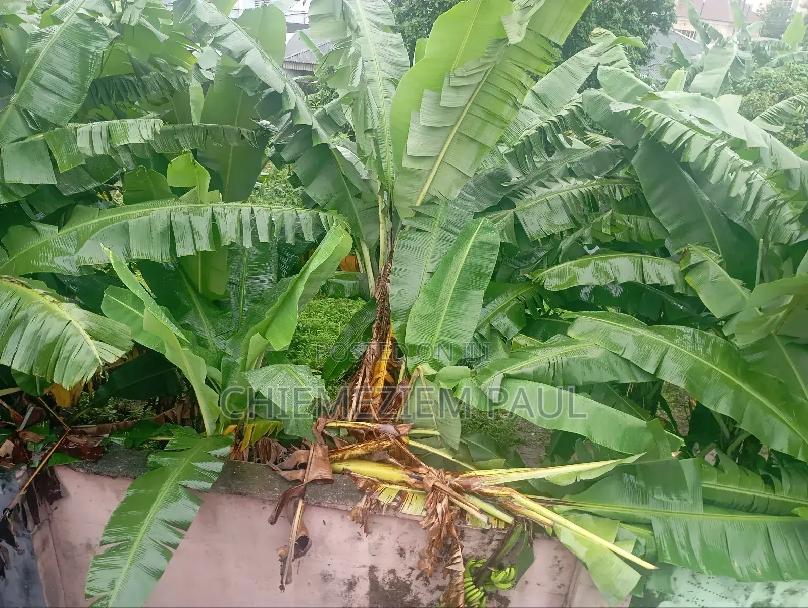 Empty 2 Plots of Land for Sale in Port-Harcourt