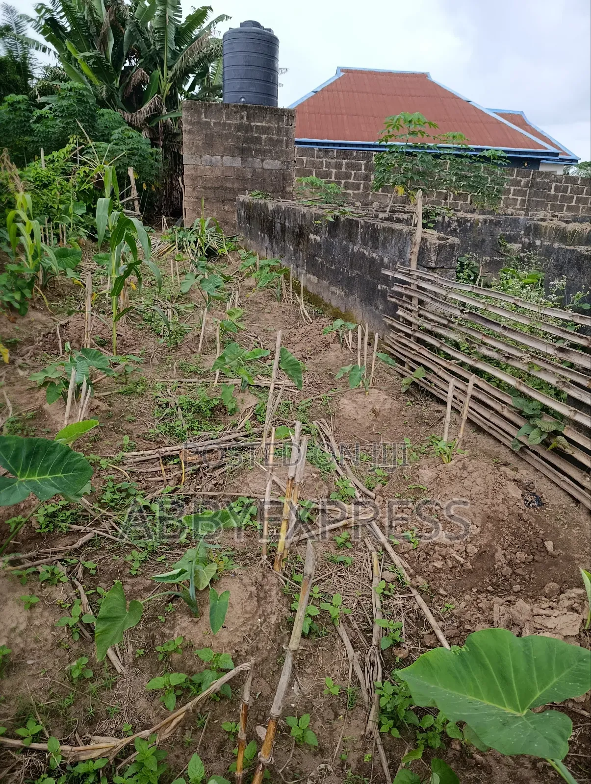 Plot of Land for Sale in Apata, Ibadan. in Apata