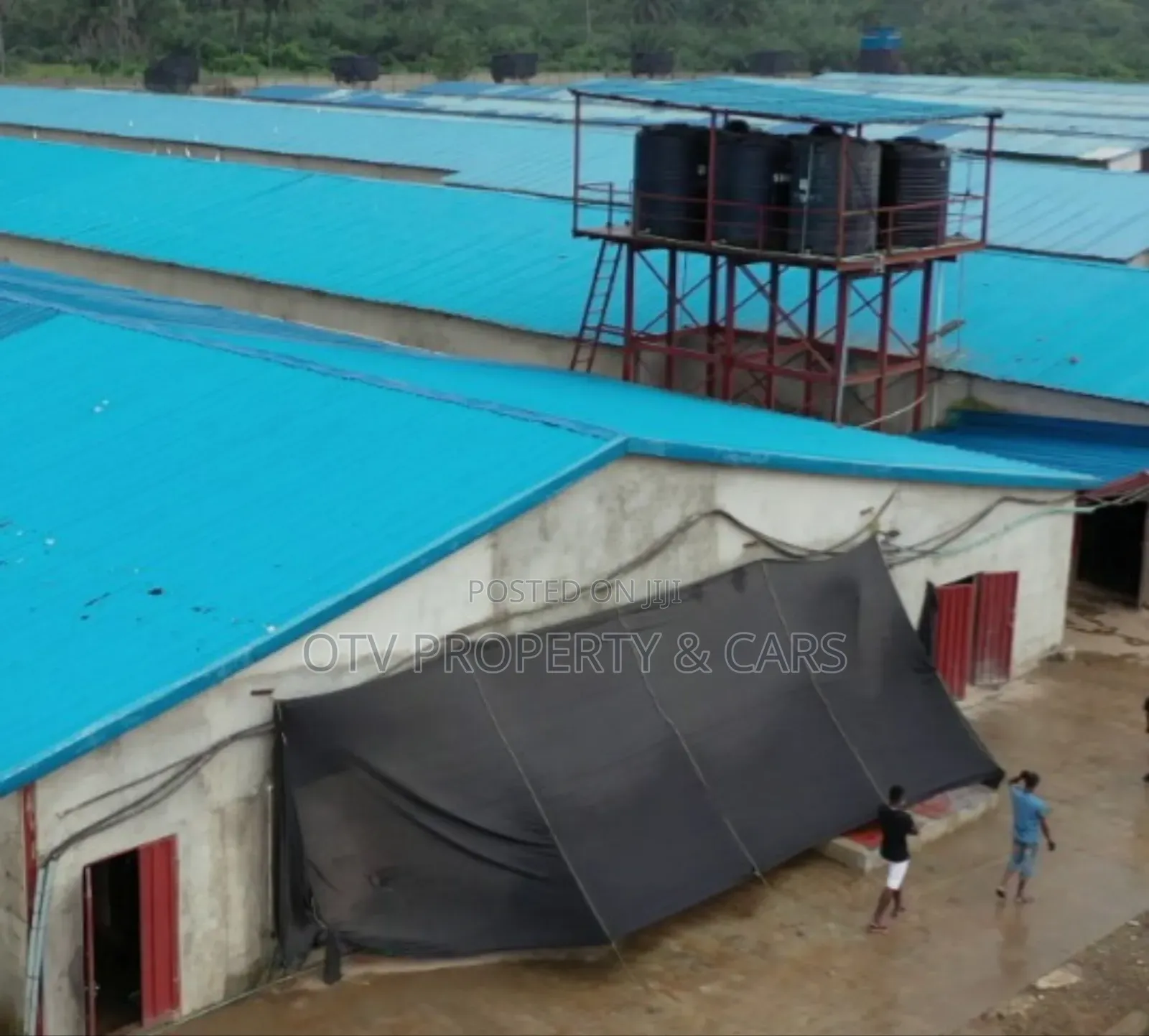 $3.5m Poultry And Farmland Available For Sale In Ogun State in Ijebu Ode