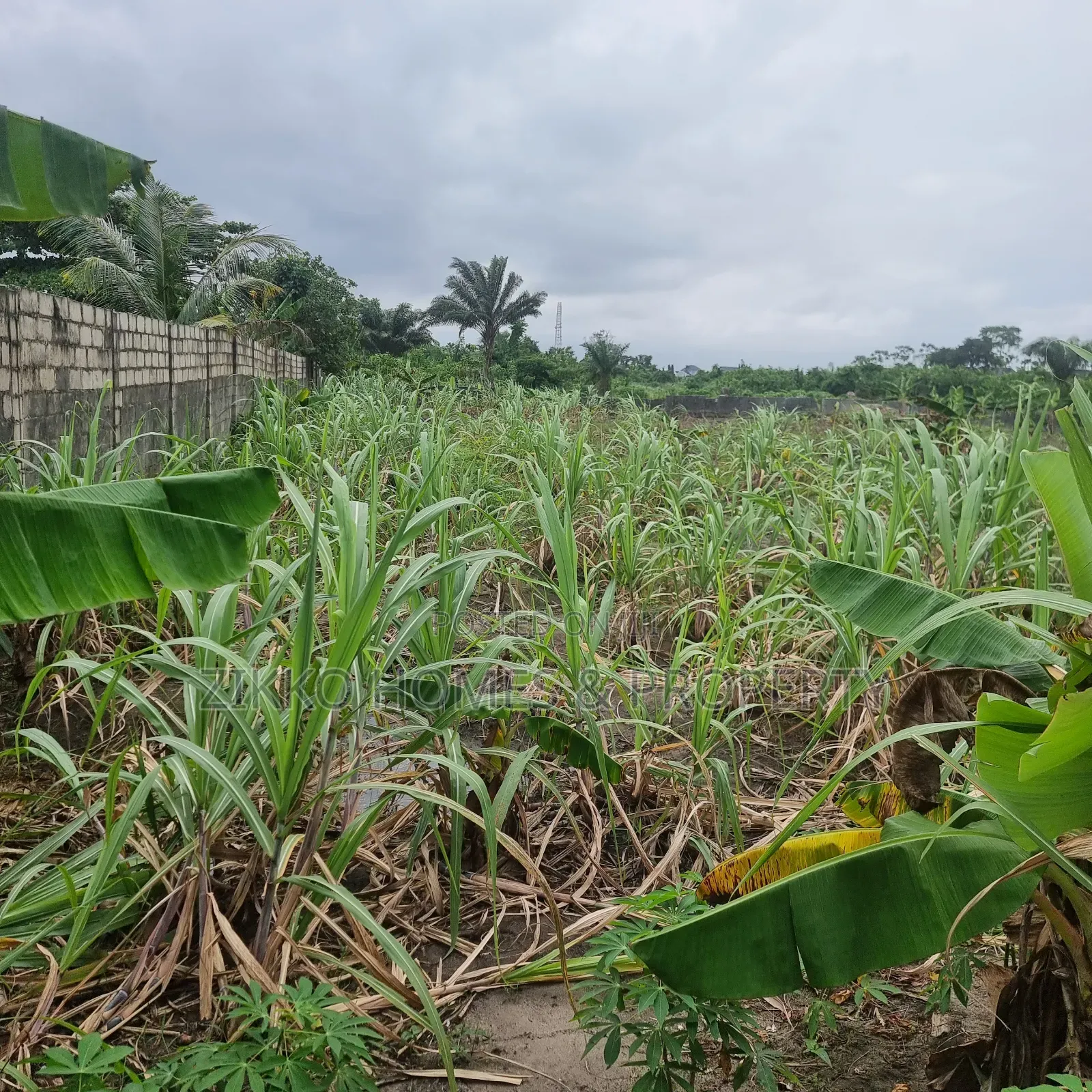 Land for Sale at Abijo in Abijo
