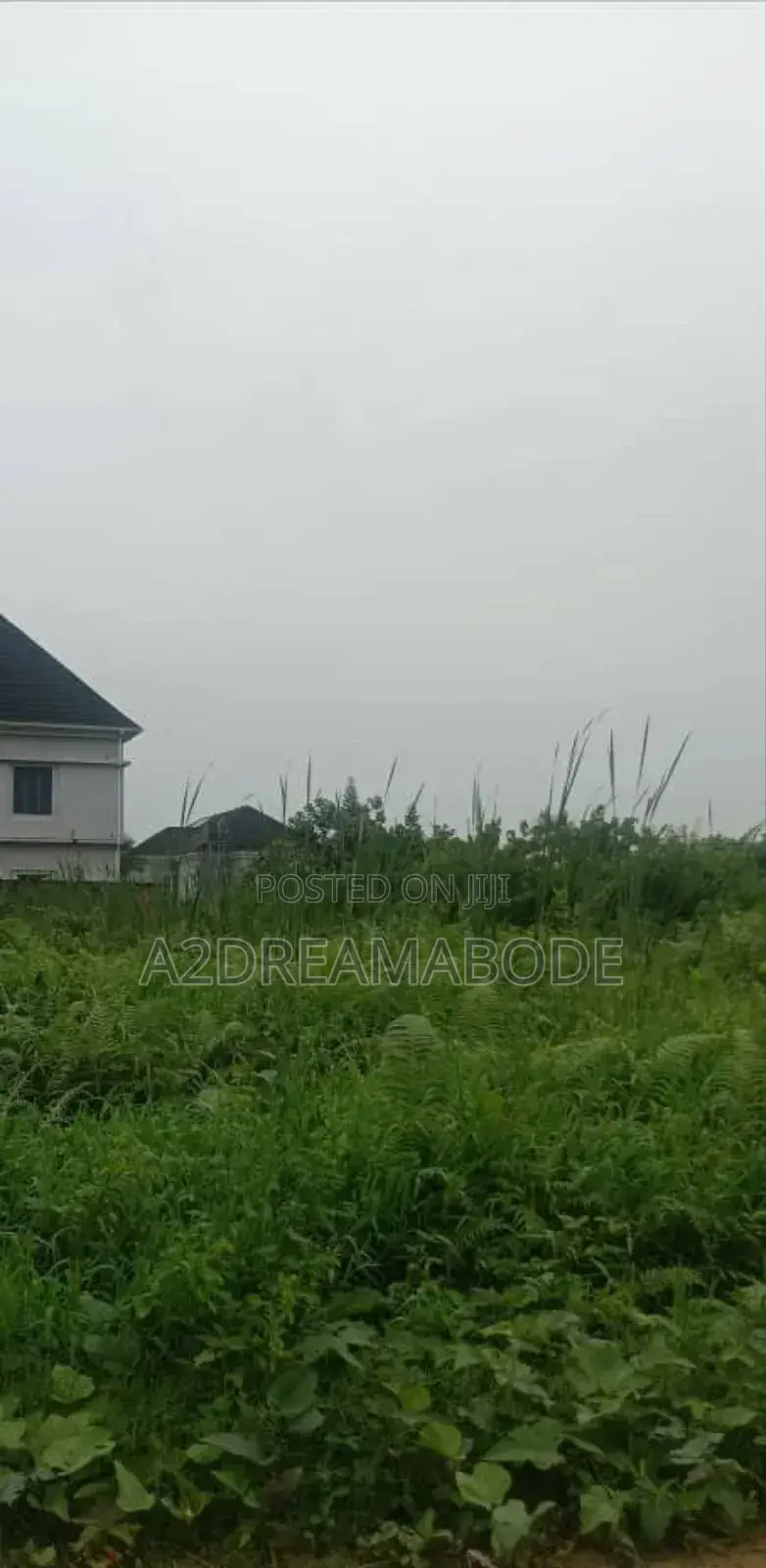 Yummy Exclusive Land in Isheri North