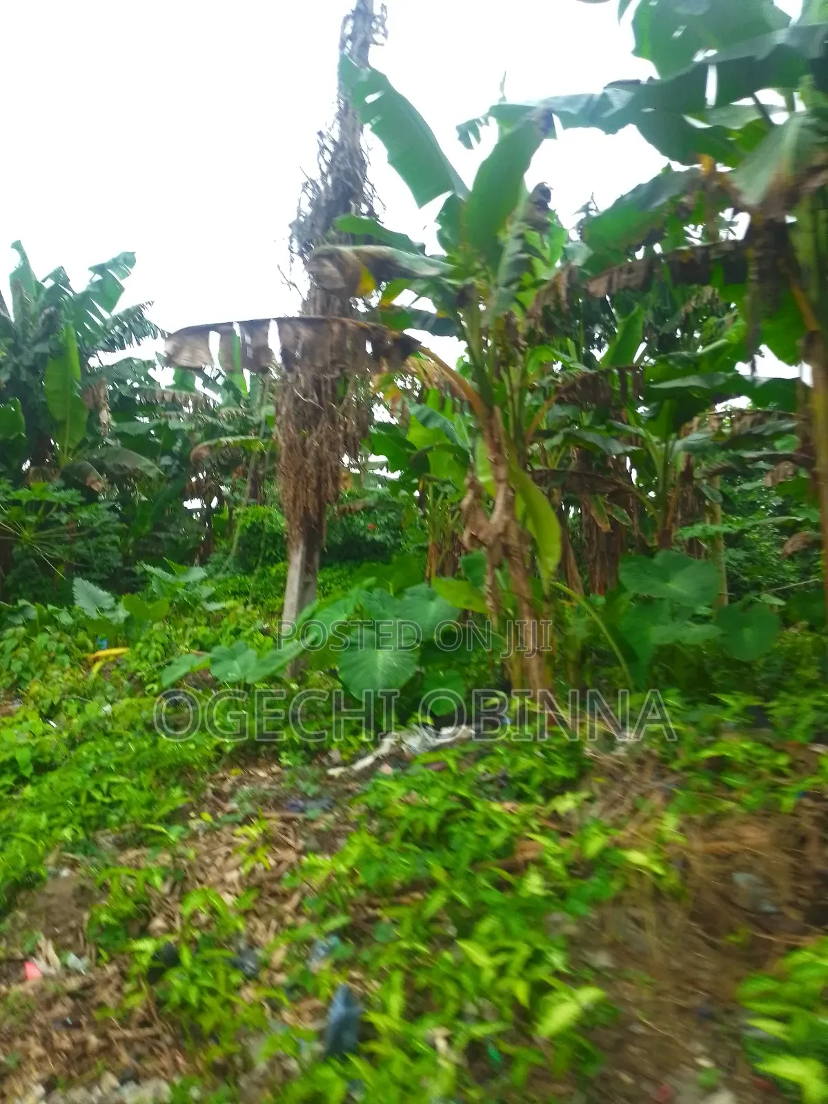 Distress Buy and Build at Egwi Etche in Port-Harcourt