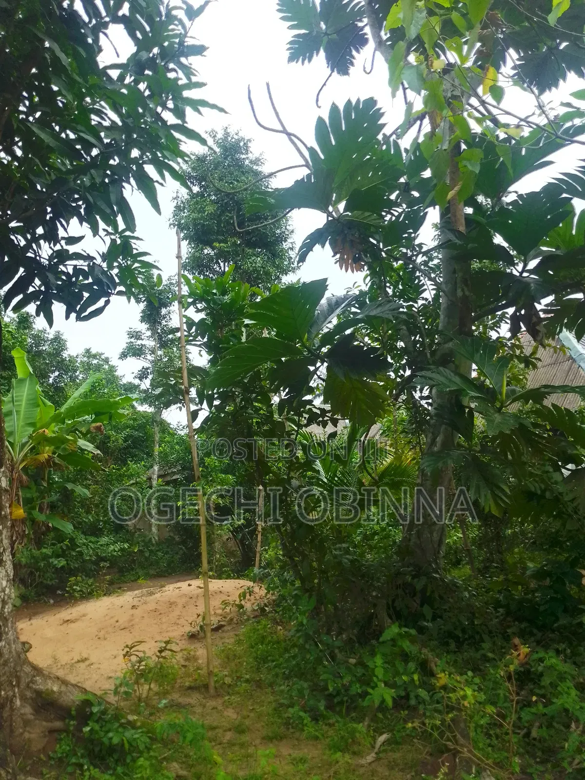 Distress Buy and Build at Egwi Etche in Port-Harcourt