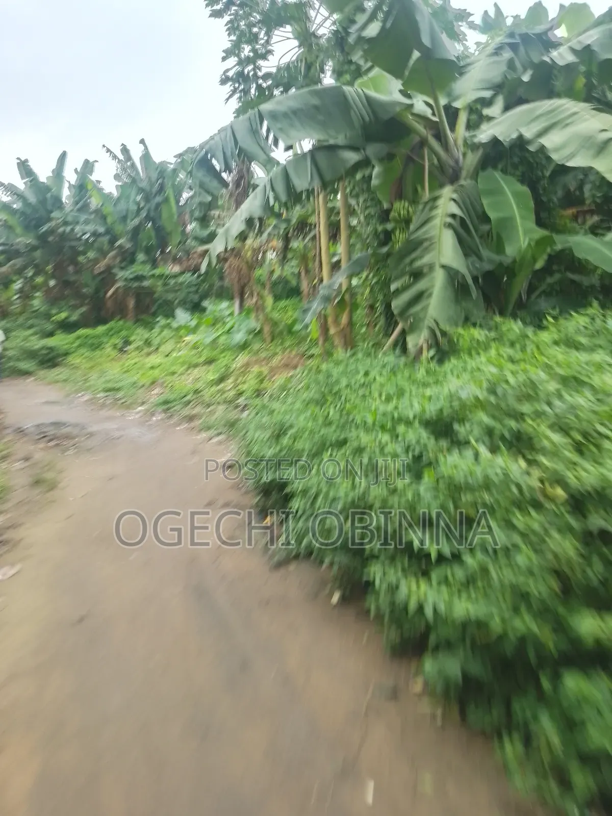 Distress Buy and Build at Egwi Etche in Port-Harcourt