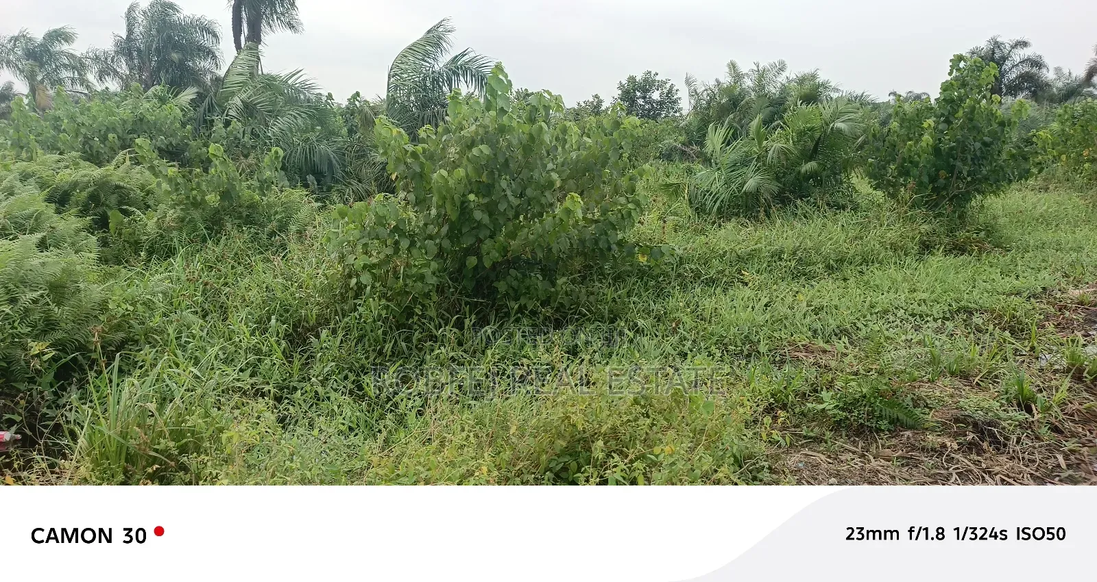 Insane Distress Sale Offer 3 Acres Land in Aiyeteju