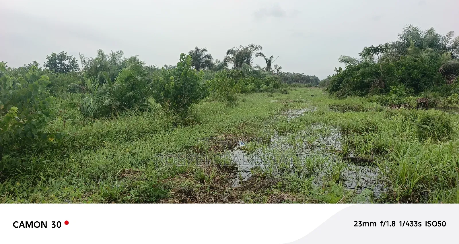 Insane Distress Sale Offer 3 Acres Land in Aiyeteju