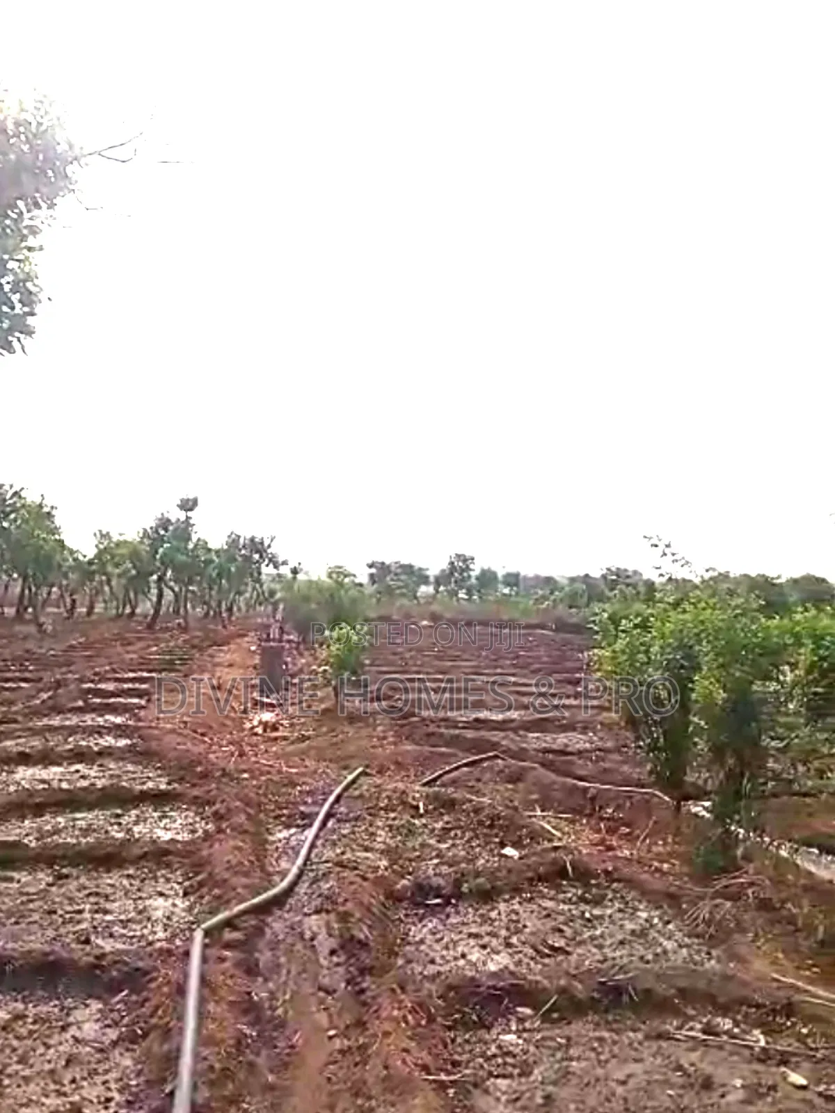 3,768sqm Residential Land in Strategic Location in Life Camp