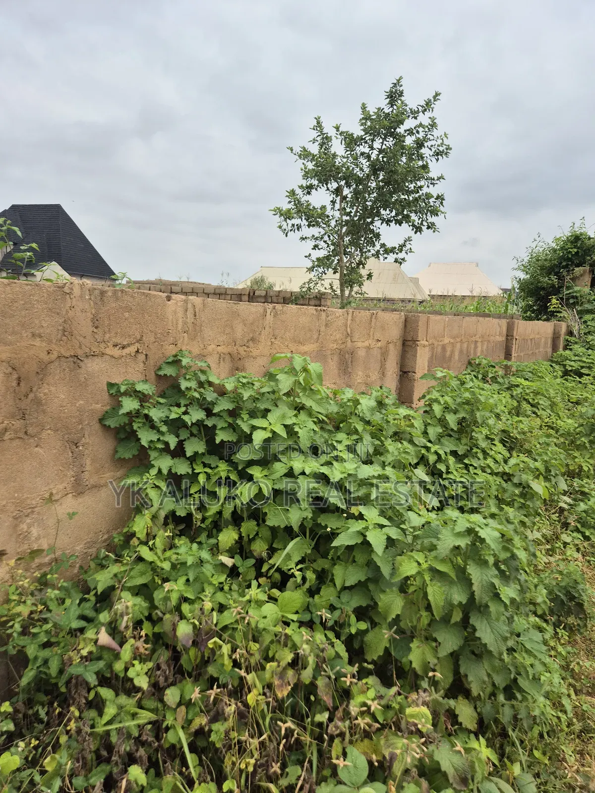 Right of Occupancy in Ilorin West