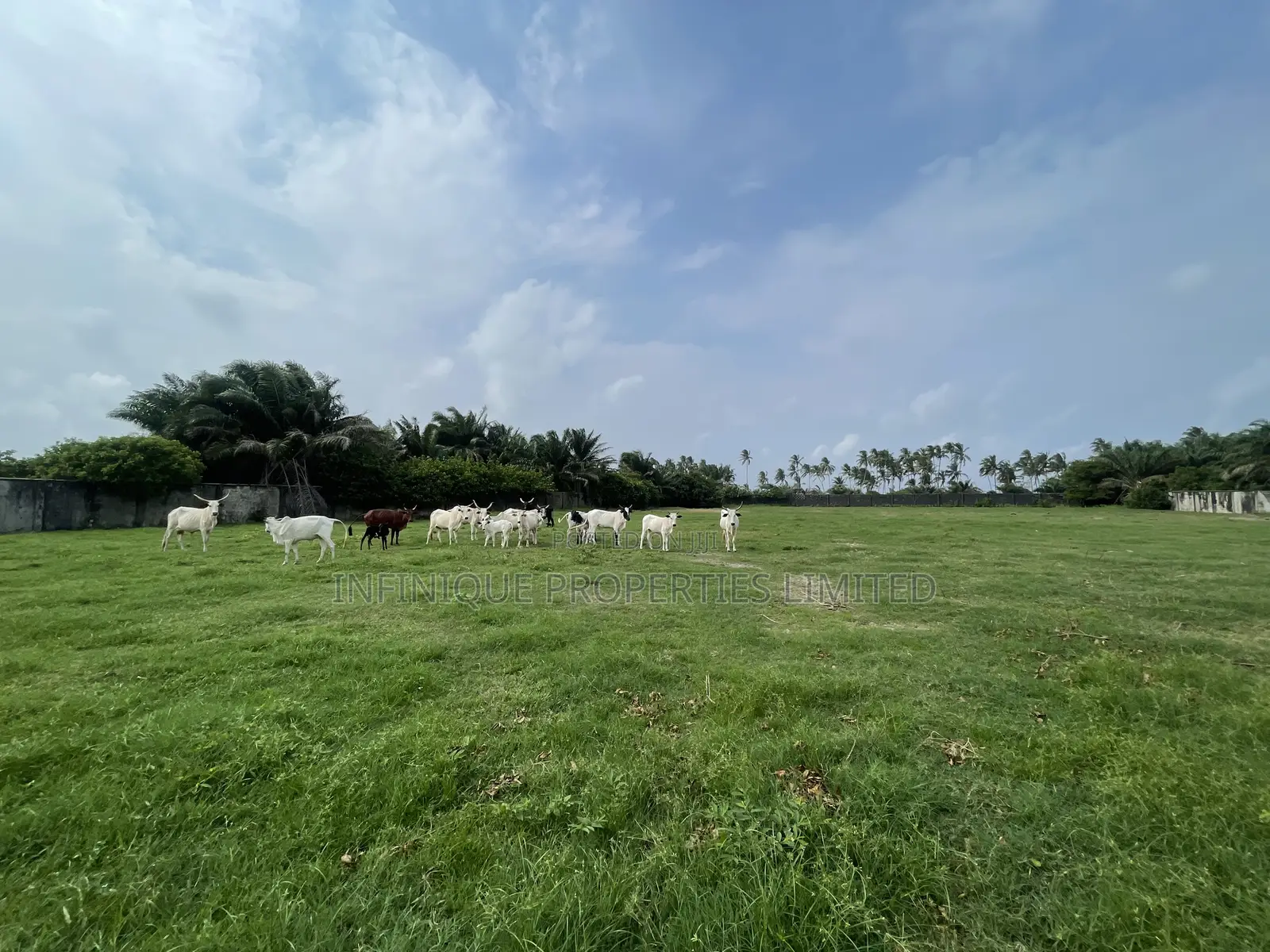 2 Acres of Fenced Land in Otolu, Eleko in Eleko