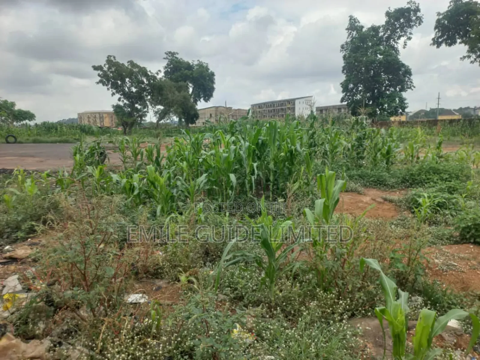 Industrial Plot Of Land For Sale In Idu Industrial in Idu Industrial