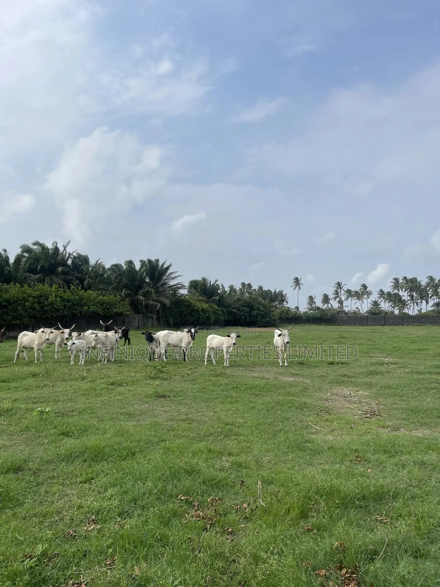 2 Acres of Fenced Land in Otolu, Eleko in Eleko