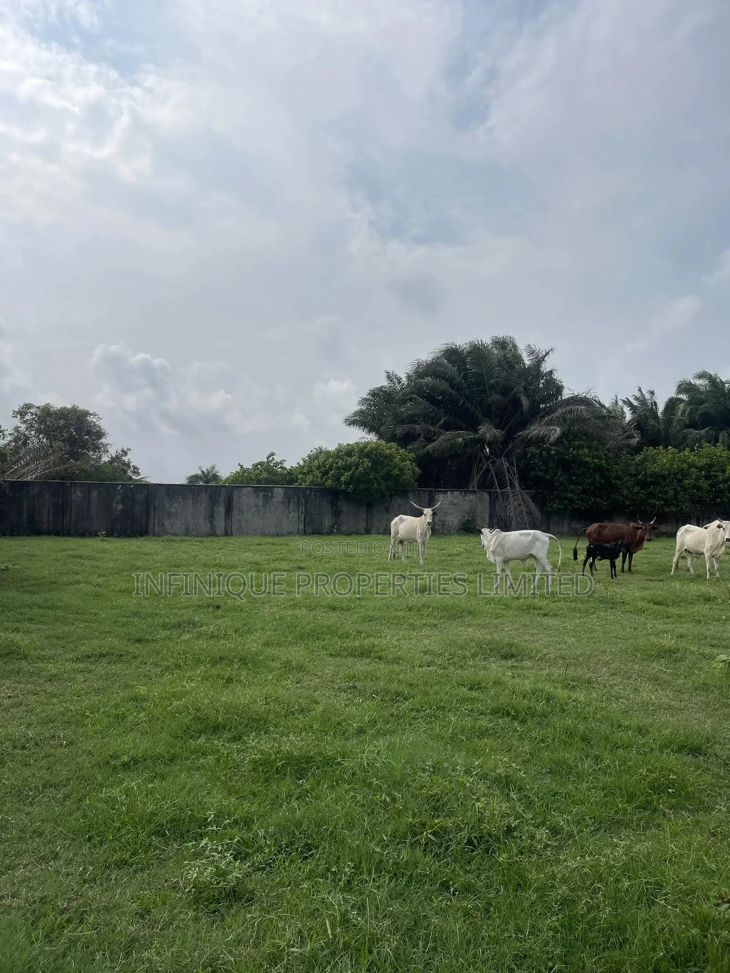 2 Acres of Fenced Land in Otolu, Eleko in Eleko