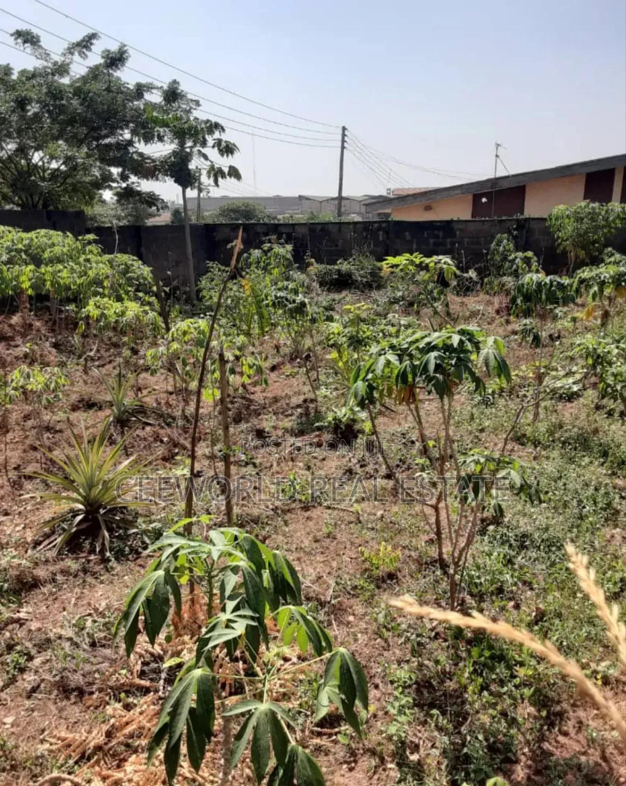 Standard 2 Plots of Land at Olubadan Estate, Iworoad Ib. in Iwo Road