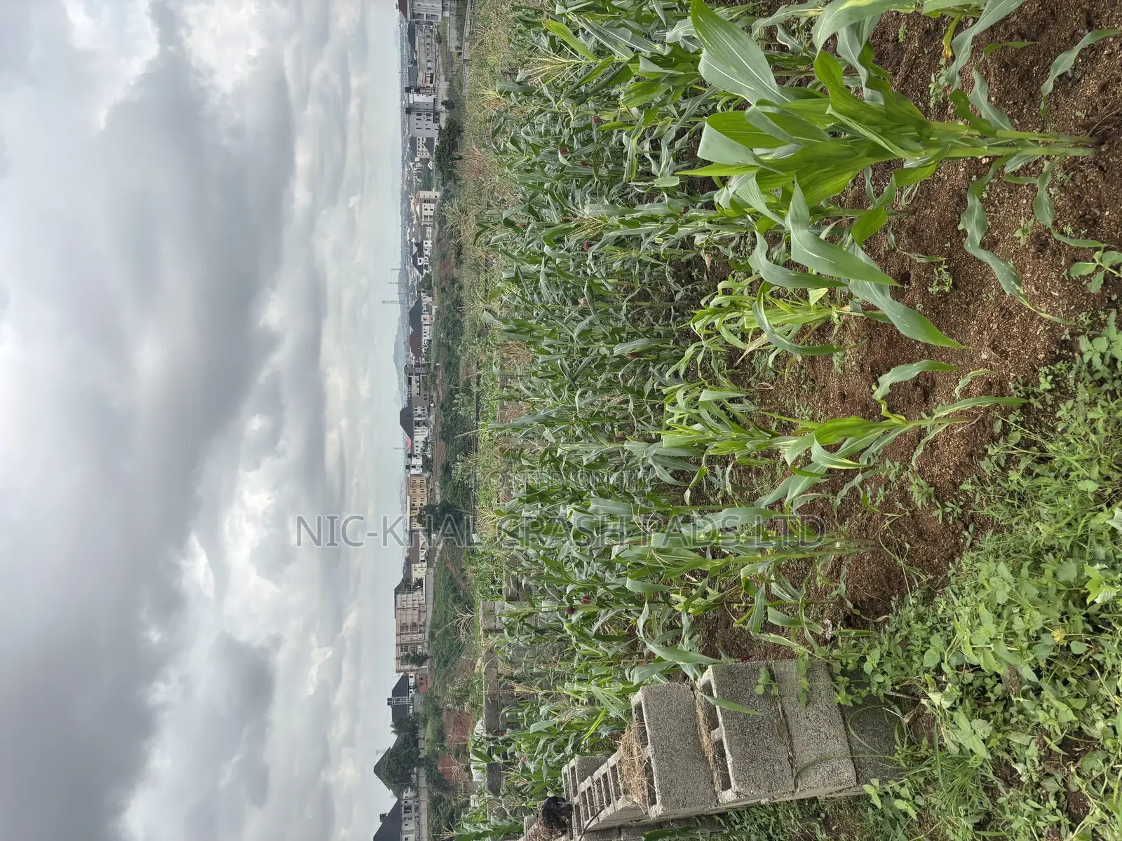 Fcda C of O in Dawaki