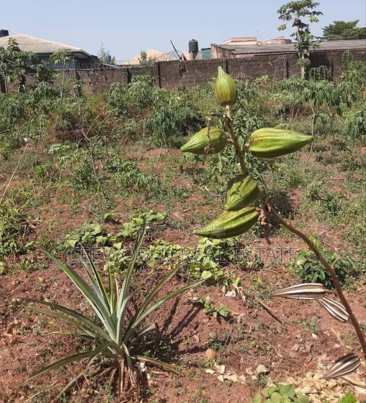 Standard Plot of Land at Commodore Before Elebu Market in Akala Express